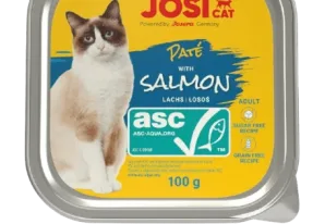 Buy Cat Foods: Discover the Best Pet Store in Nairobi
